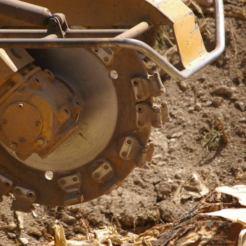 Tree stump grinding St. Louis