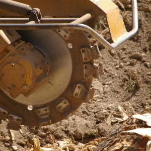 stump grinding