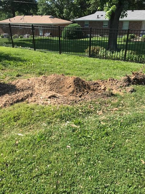 Tree Stump Services in St. Charles County