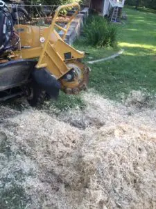 stump removal st louis