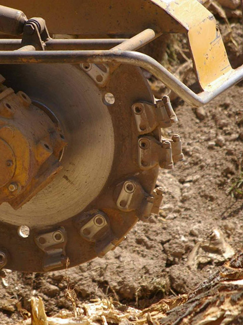 Stump Grinding St Louis